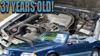 MIND BLOWING, a 1987 fox body Mustang is 37 years old! by Foxcast Media 3,489 views 4 weeks ago 9 minutes, 12 seconds