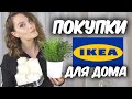 IKEA /ПОКУПКИ В ИКЕА /Покупки для дома, для кухни, для декора /Suzi Sky