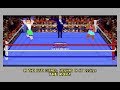 4d sports boxing pcdos 1991 distinctive software inc mindscape