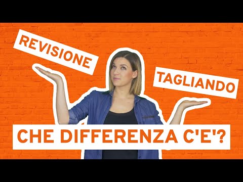 Video: Differenza Tra Critica E Revisione