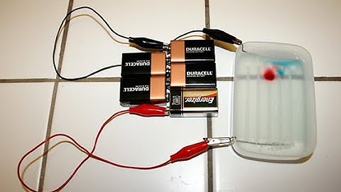 Gel Electrophoresis and Forensic Science: Biotechnology Science Fair Project