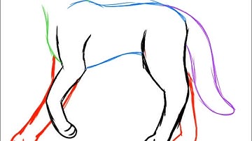 animal walking animation test