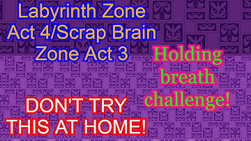 Labyrinth Zone Zone Act 4/Scrap Brain Zone Act 3 Is Horrible With This Challenge + Final Zone