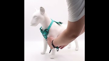 Breathable Adjustable Mesh Polyester Reflective Pet Vest Small Dog Harness With Leash