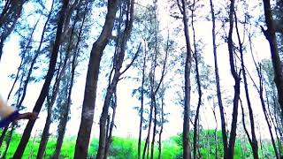 Asbin Shalini Wedding Outdoor Song
