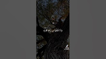 استمع إلي القرآن الكريم #comedianmahmoudagamey #محمودعجمي #جمعة_مباركة #اكسبلور #لايك #اكسبلور #ترند