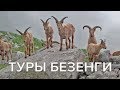 Туры Безенги