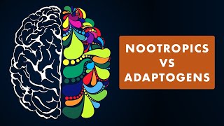 Nootropics Vs. Adaptogens: What's the Difference? (2021)