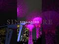 BLACKPINK WORLD TOUR [DEADLINE] IN SINGAPORE 🌸 #BLACKPINK #WORLDTOUR #DEADLINE_IN_SINGAPORE