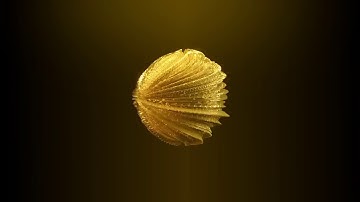 Maya Arnold Render Displacement Maps tutorial