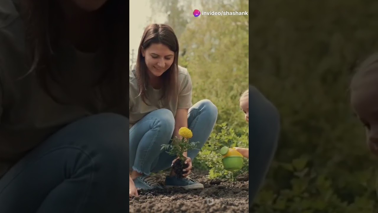 Delhi Air Quality is low 