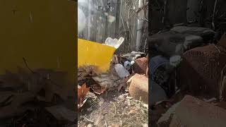 Predator polymag ice bottle test #nature #airgun #airrifleshooting #gun #destruction