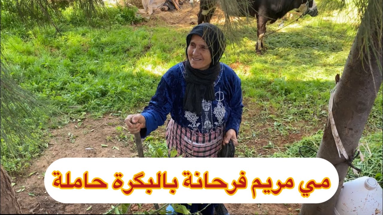 مي مريم فرحانة بالبگرة ضارة (حاملة)