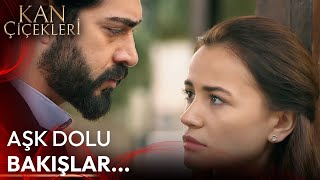 Bu Sevda Nasıl Başladı? #17 - Kan Çiçekleri