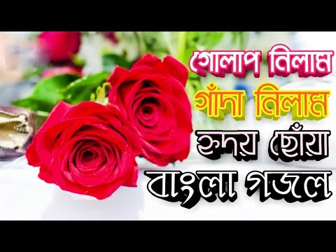 গোলাপ-নিলাম-গাঁদা-নিলাম-||-golap-nilam-gada-nilam-gojol-2020