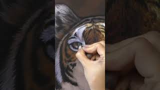 Win this tiger in soft pastel screenshot 4