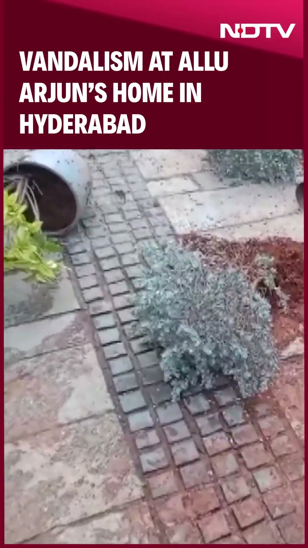 Allu Arjun Home | Protesters Vandalise Allu Arjun's Home In Hyderabad Over Pushpa 2 Stampede Case