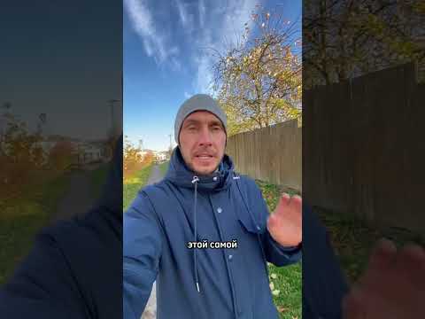 Самый сладкий сорт рябины. Как называется на самом деле?￼