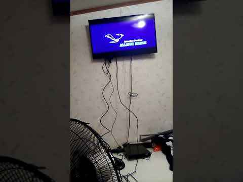 Looney Toons Back In Action End Credits