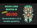 Terraria - Moon Lord in 39:10 Speedrun Seeded Normal mode WR