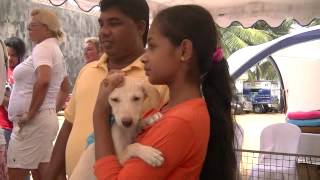 Puppy Adoption Day in Sri Lanka