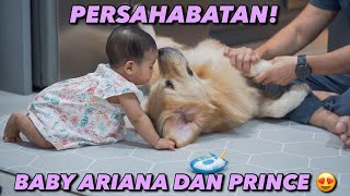 TERHARU LIAT INTERAKSI BABY ARIANA DAN PRINCE