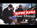 Фриганы Нью-Йорка. Еда с помоек и борьба за будущее планеты