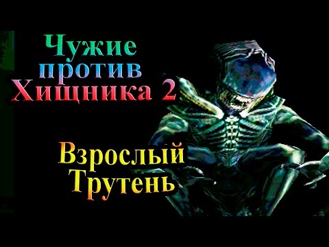 Видео: Прохождение Aliens versus Predator 2 (Чужие против Хищника 2) - часть 16 - Взрослый Трутень