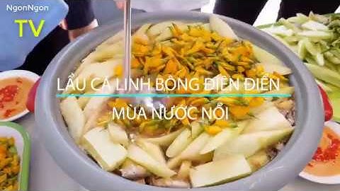 Lẩu cá linh bông điên điển và đặc sản đúng gốc miền Tây gây thương nhớ
