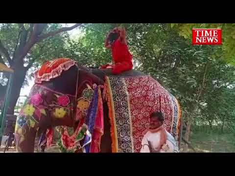 हाथी पर बैठकर योग सिखा रहे  बाबा रामदेव  गिरे……