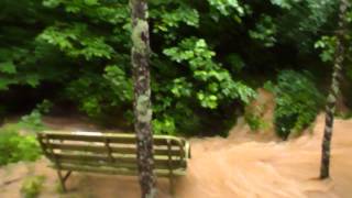 Flash Flood In The Chute At Little Wolf Nature Preserve
