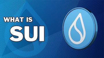 What Is Sui (SUI)? Beginner’s Guide Explained [Animated]