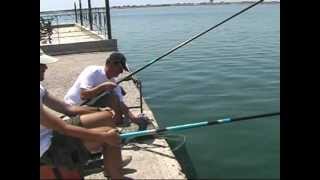 Pole fishing  Απίκο στο λιμάνι για κεφάλους