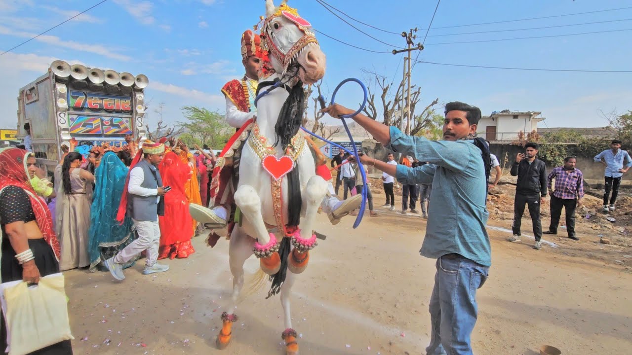 स्पेशल घोड़ी स्पेशल डिजे 2025 !! Perfume Lgave Chunni Main !! परफ्यूम लगावे चुन्नी में !! Viral Song