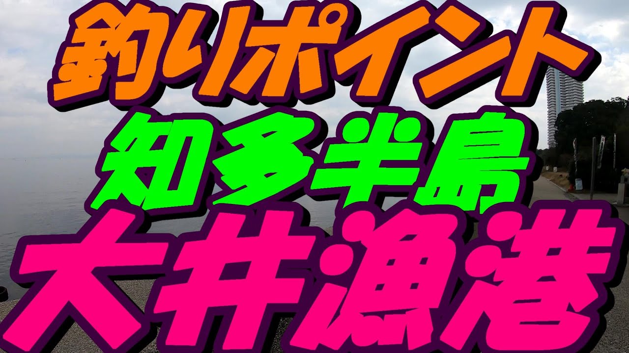 【愛知県釣りポイント】南知多町大井漁港2021年2月中旬