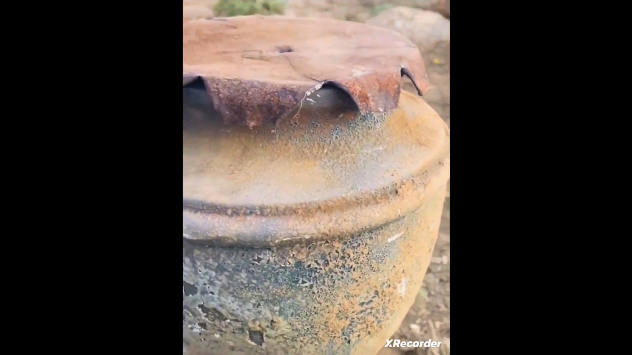 500 years old!!!!!nayd a lily with gold coins!!!?