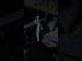 Something Is Hidden at This Spot in RDR2