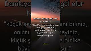 'Damlaya damlaya göl olur' Ne Anlama Geliyor? #keşfet #shorts