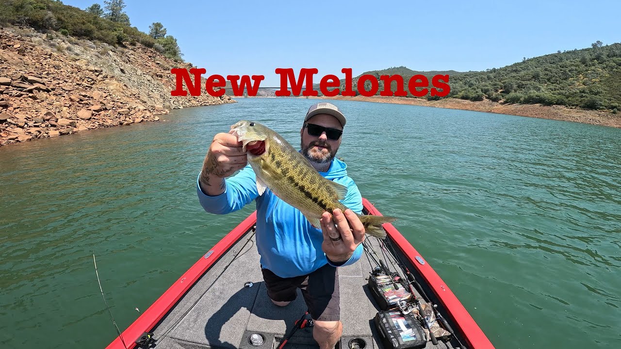 New Melones Lake mid week bass fishing