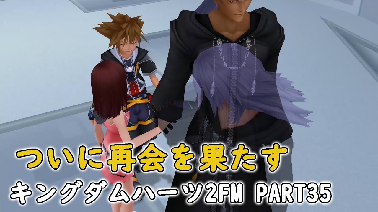 存在しなかった世界 ラストダンジョンへ 変わり果てたリクと再会を果たすソラ カイリ Part35 キングダムハーツ2 Kingdom Hearts 2 Youtube