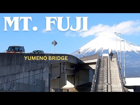 MT. FUJI [Unique Bridge, Take photos, TikTok, IG]