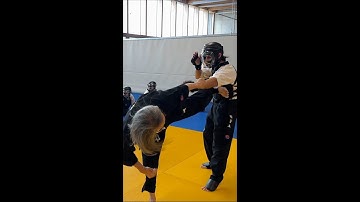 TaeSooDo Point Fighting Backfist Series #14-Skipping Sidekick Combo by HwaRangDo® GM Taejoon Lee