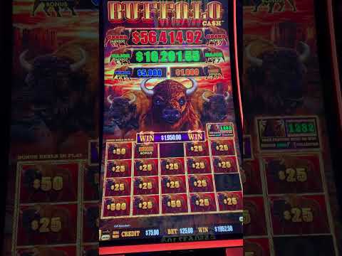 Man wins $1M in just 1 Spin #Vegas #casino #bingo #jackpot #millionaire #slots #fyp #fy #bigwin #1m