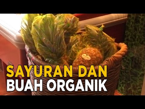 Video: Mengapa makanan yang ditanam secara organik?