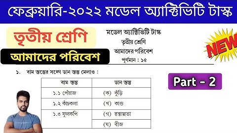 Class 3 Amader Poribesh (আমাদের পরিবেশ) February Model Activity Task 2022 , Part 2 | Study Alochona