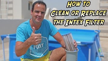 Intex Filter Pump Cartridge Cleaning and Replacement