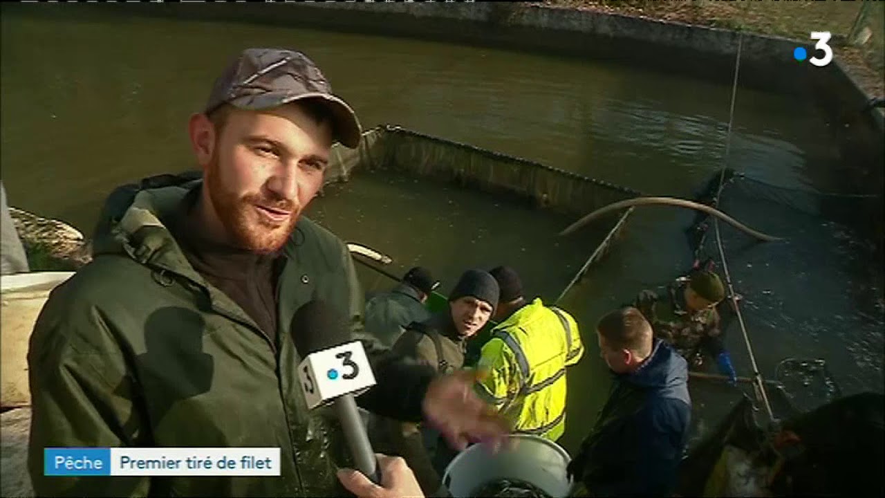 Pêche au filet dans l'étang de Lachaussée en Meuse