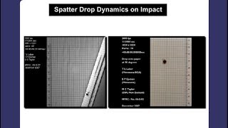 Splatter Drop Dynamics on Impact