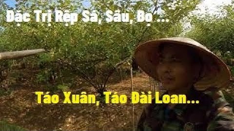 Rệp Sáp, Sâu, Bọ Phá Táo Diệt Có Khó Không I Nui Doi Luc Ngan 98