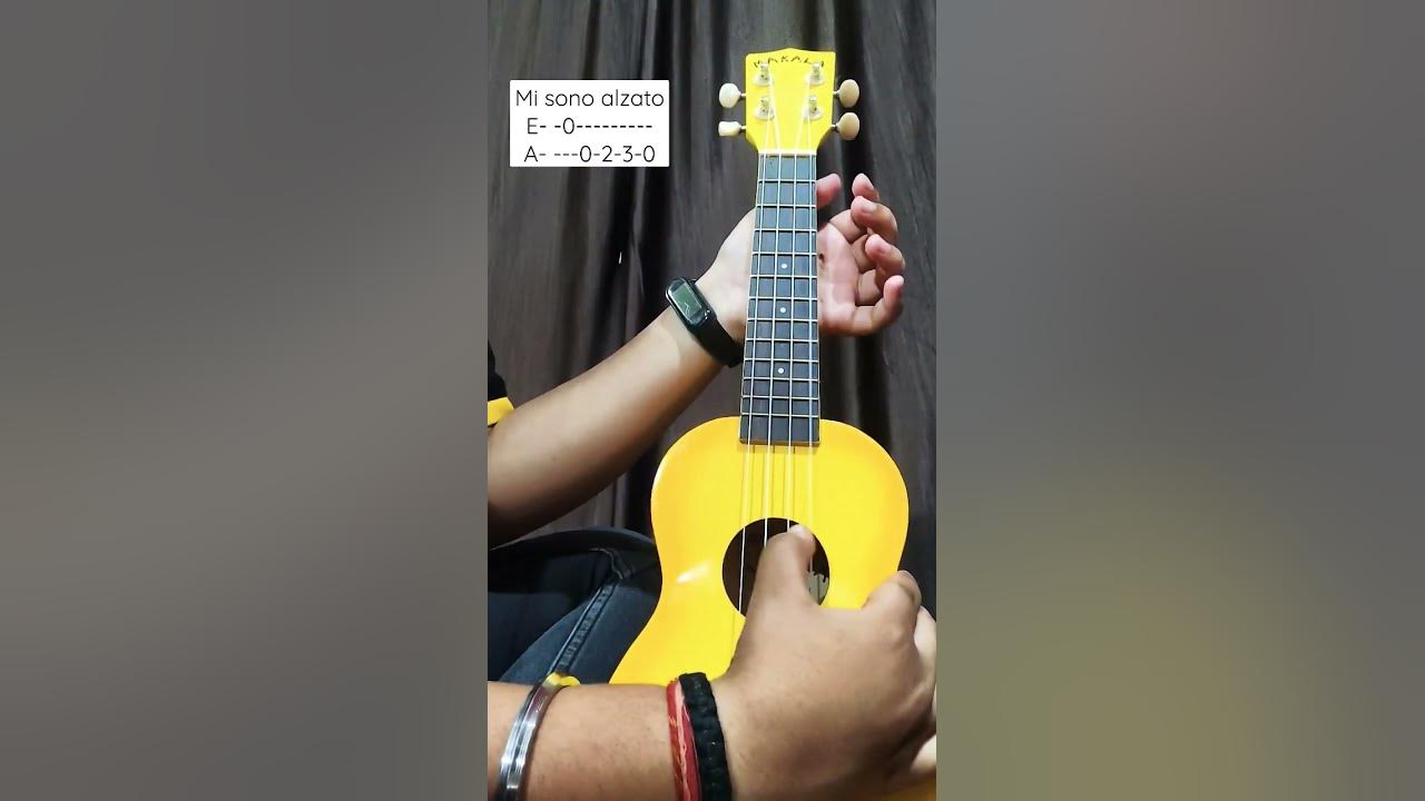 Ukulele - Bella Ciao | One String